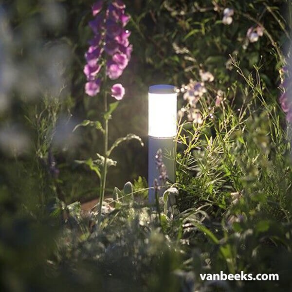 in-lite LIV Low 12v Preview